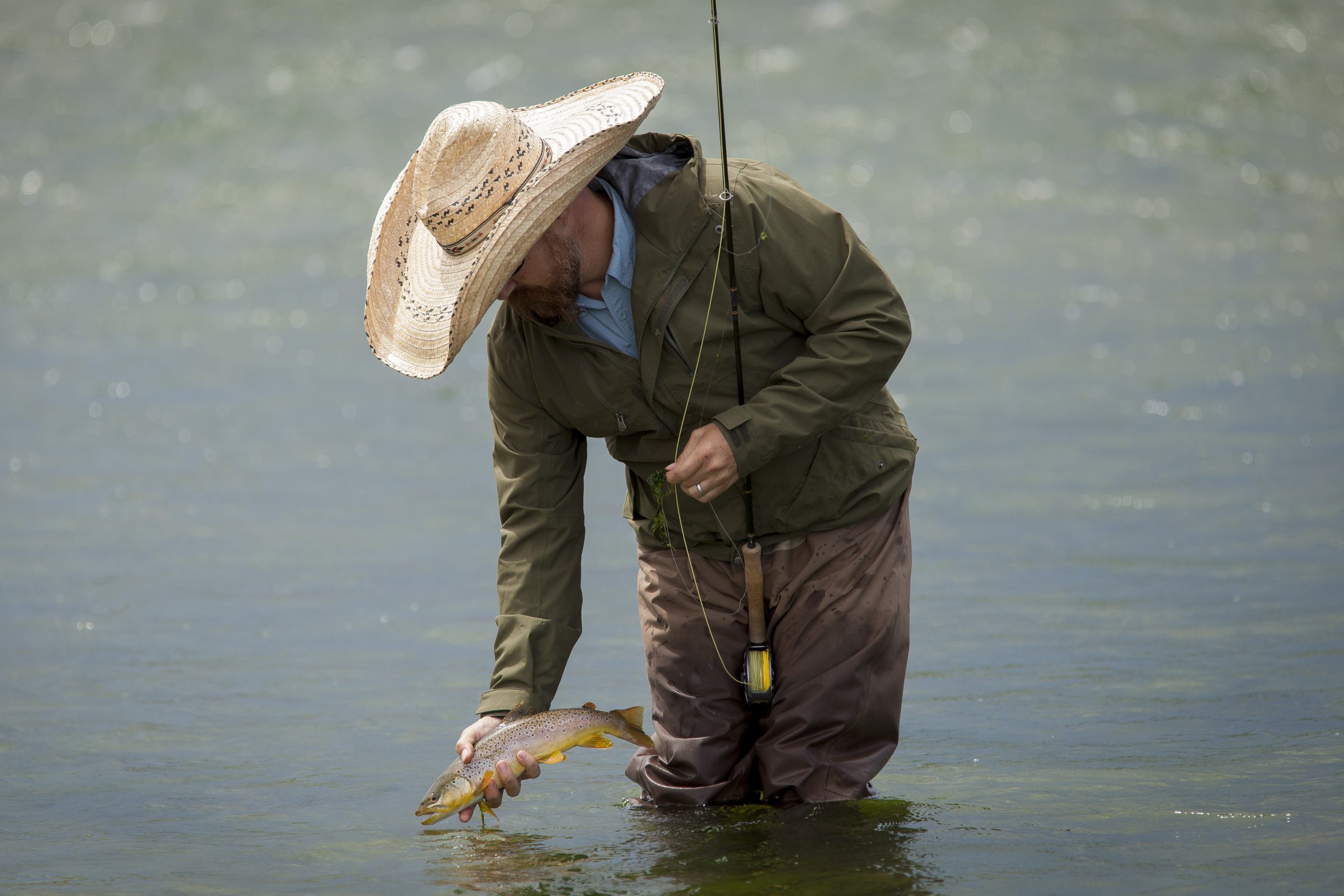 To give you the utmost relaxation, bighorn river lodge will welcome you along with its dedicated staff. 