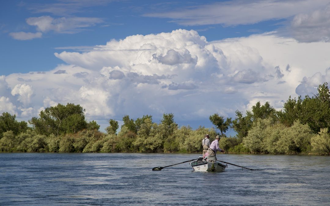 Ultimate Fly Fishing Destination is the Bighorn River in Montana