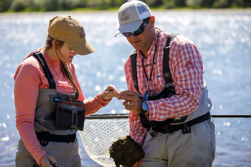 Bighorn River Fly Fishing: The Guides & Classes Near You